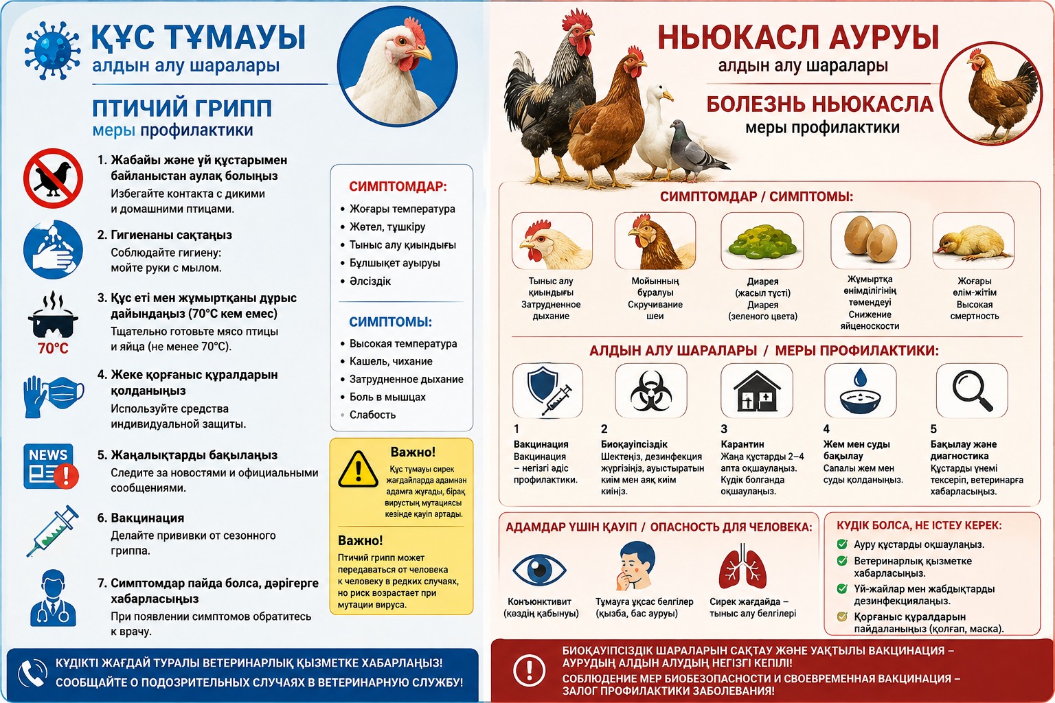 Грипп птиц, или птичий грипп